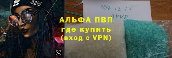 индика Белоозёрский