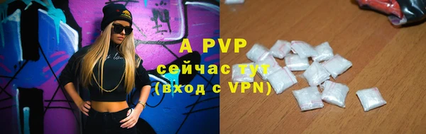 индика Белоозёрский