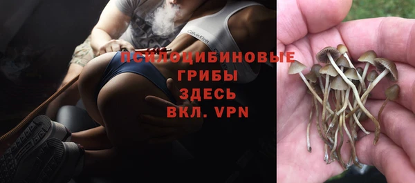 spice Беломорск