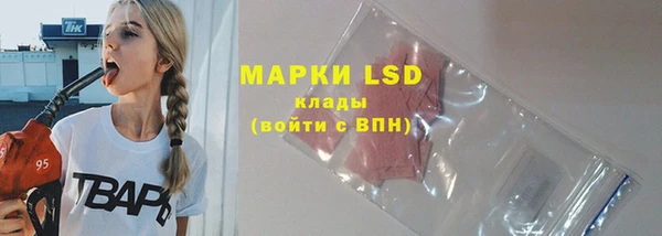 spice Беломорск