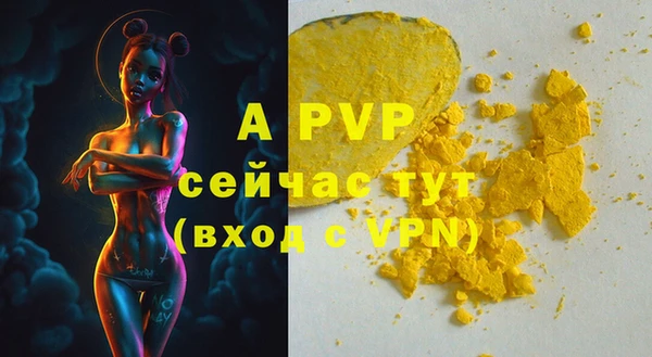 индика Белоозёрский