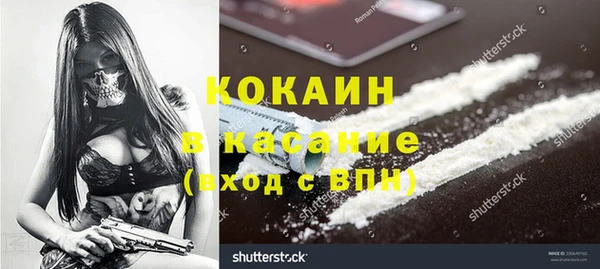 индика Белоозёрский