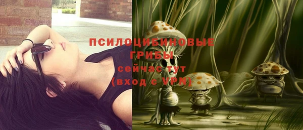 индика Белоозёрский