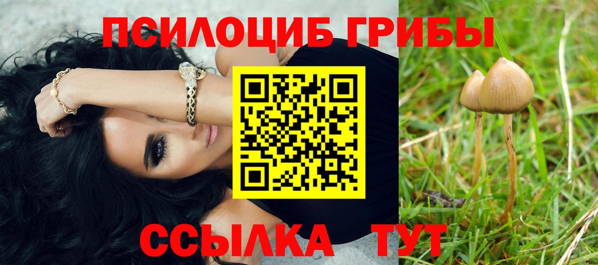 Псилоцибиновые грибы прущие грибы  купить наркотик  Губкинский  Галлюциногенные грибы ЛСД 
