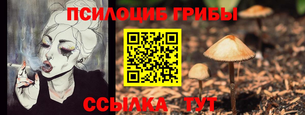 Псилоцибиновые грибы прущие грибы  Вход с VPN  Губкинский 
