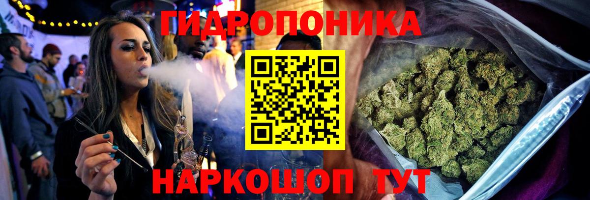 Губкинский  Бошки Шишки ГИДРОПОН  МАРИХУАНА THC 21%  Вход с VPN 