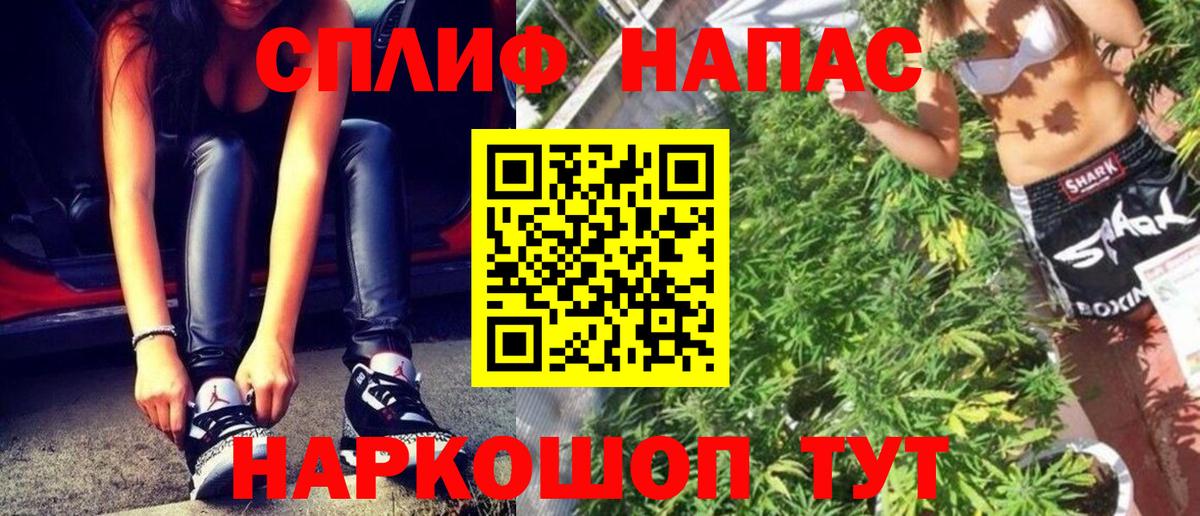 Бошки Шишки ГИДРОПОН  Конопля Amnesia  Губкинский  Каннабис Amnesia 